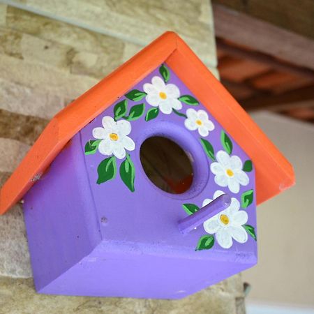 Bed and Breakfast Sitio Terra Sana Санта-Тереза Экстерьер фото